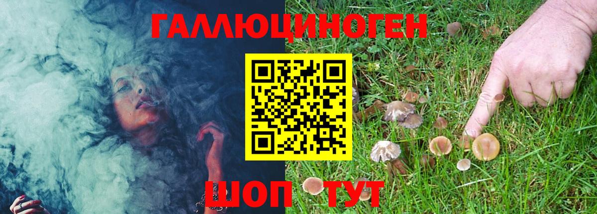 Галлюциногенные грибы мицелий Псков