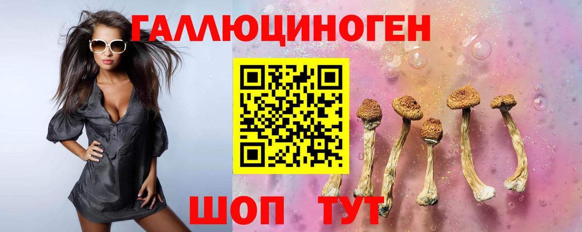 Псков  Псилоцибиновые грибы Magic Shrooms  Вход с VPN  Псилоцибиновые грибы прущие грибы 